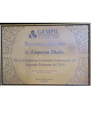 2019 Gestión Empresarial