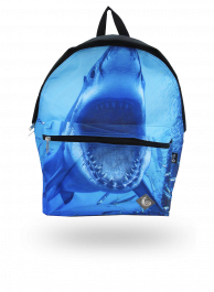 Mochilas